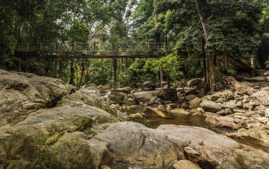 Çimento köprü ormanda