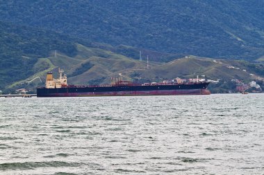 Kargo gemisi demirledi