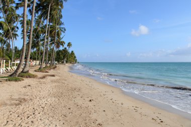 Maragogi, Alagoas - Brezilya Beach'de