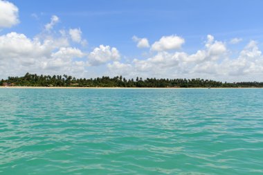  Maragogi su, Alagoas - Brezilya