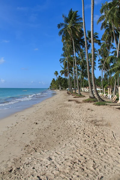 Playa en Maragogi, Alagoas - Brasil — Foto de Stock