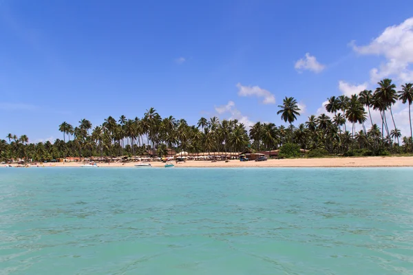 Maragogi, Alagoas - Brasile — Foto Stock