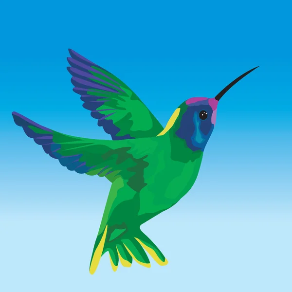 Stylized Hummingbird — Stock Vector