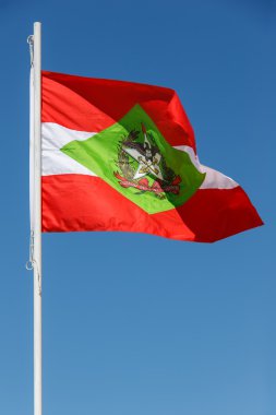 Santa Catarina Flag - Brazil clipart