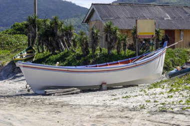 Pantano teknede Sul beach yapmak