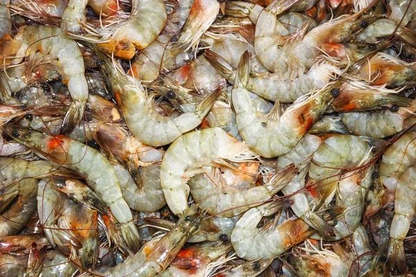 Comida do mar cru de camarão — Fotografia de Stock