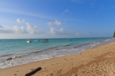Akşam Maragogi, Alagoas - Brezilya