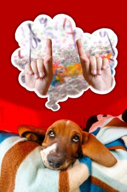 Basset Hound düşünme Carnival