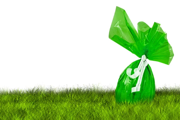 Green Easter Egg hunt — Stock Photo, Image