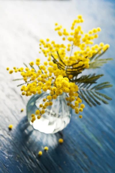 Bouquet of mimosa (silver wattle) in vase on wooden background