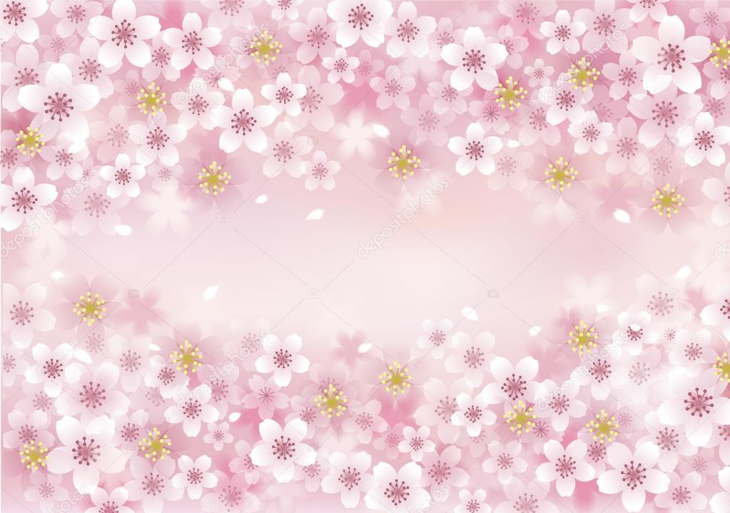 Cherry blossom Background