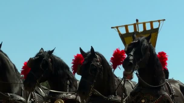 ローマの誕生のお祝いにローマ騎兵 — ストック動画