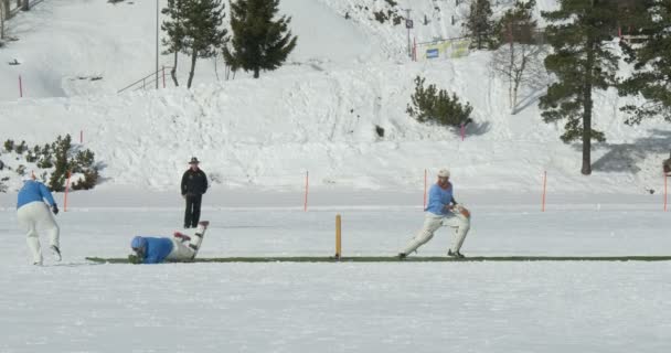 Cricket på isen vadd — Stockvideo