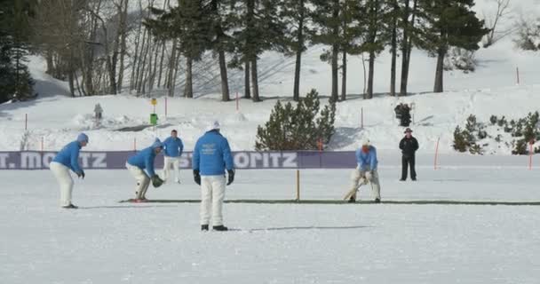 Cricket på isen vadd — Stockvideo