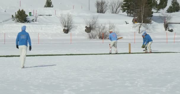 Cricket på isen vadd — Stockvideo