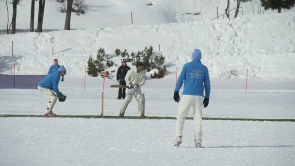 Cricket på is vadd ultrarapid — Stockvideo