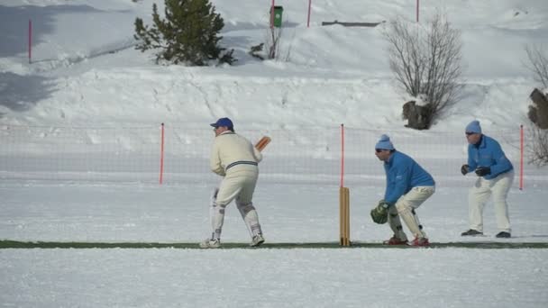 クリケットのスローモーションの打撃氷の上 — ストック動画
