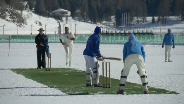 Cricket på isen leverans ultrarapid — Stockvideo