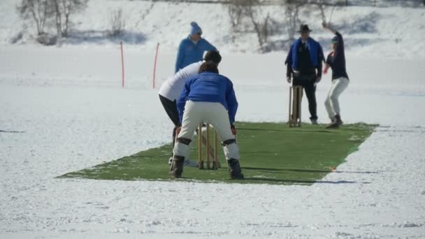 Cricket på isen leverans ultrarapid — Stockvideo