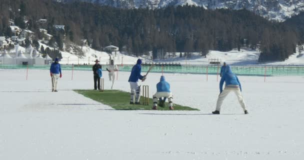 Cricket on ice delivery — Stock Video