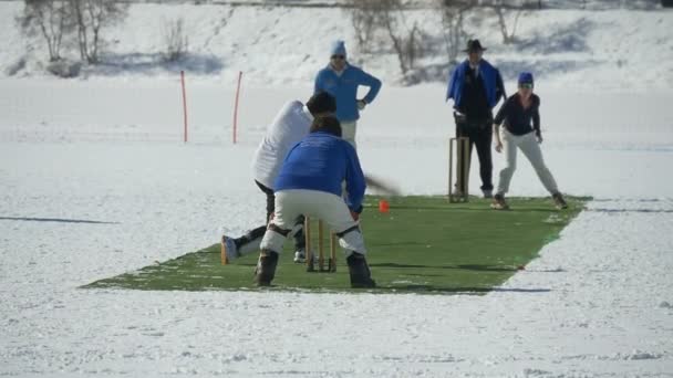 Cricket på isen leverans ultrarapid — Stockvideo