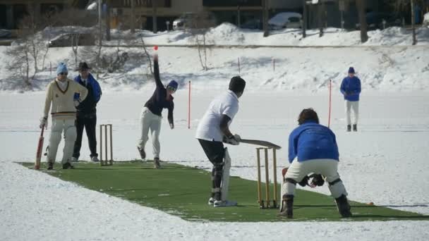 Cricket på isen leverans ultrarapid — Stockvideo