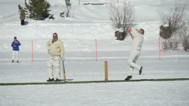 Cricket op ijs lopen Slowmotion — Stockvideo