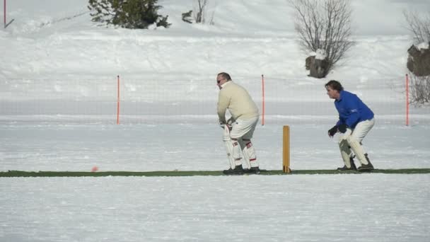 Cricket op ijs lopen Slowmotion — Stockvideo