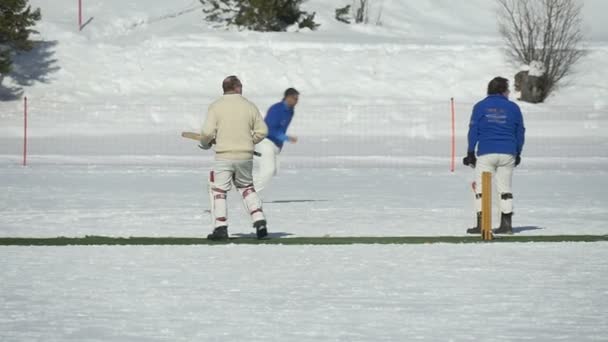 Cricket auf Eis läuft in Zeitlupe — Stockvideo