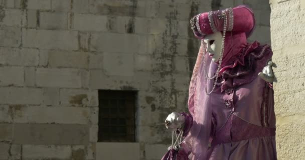 Vackra venetianska masker under karnevalen i Venedig den 16 februari 2015 i Venedig, Italien — Stockvideo