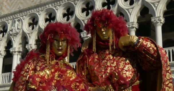 Hermosas máscaras cerca del Palacio Ducal durante el Carnaval de Venecia el 16 de febrero de 2015 en Venecia, Italia — Vídeo de stock