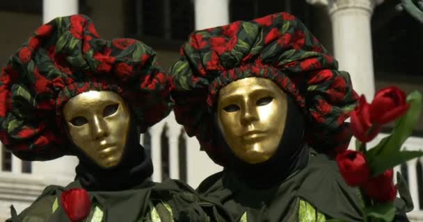 Hermosas máscaras cerca del Palacio Ducal durante el Carnaval de Venecia el 16 de febrero de 2015 en Venecia, Italia — Vídeos de Stock