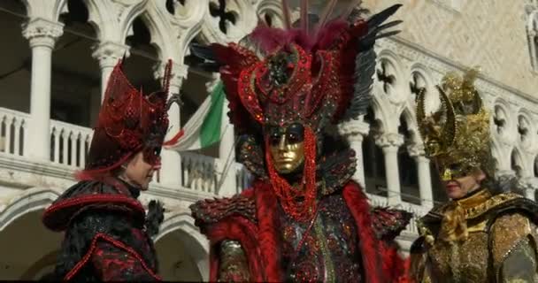 Prachtige maskers in de buurt van het paleis van de Doge tijdens het carnaval van Venetië op 16 februari 2015 in Venetië, Italië — Stockvideo