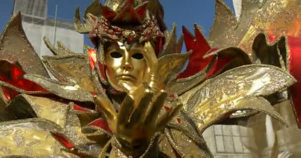 Schöne Masken in der Nähe des Dogenpalastes während des venezianischen Karnevals am 16. Februar 2015 in Venedig, Italien — Stockvideo