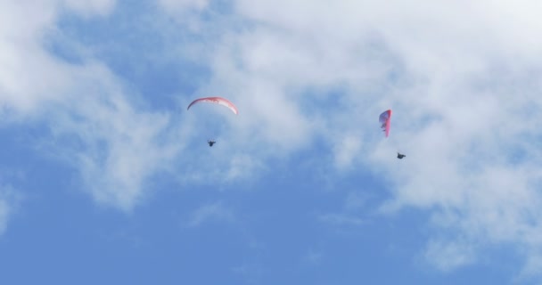 Paragliders utföra manövrar under Acroaria, den legendariska akrobatiska skärmflygning world cup — Stockvideo