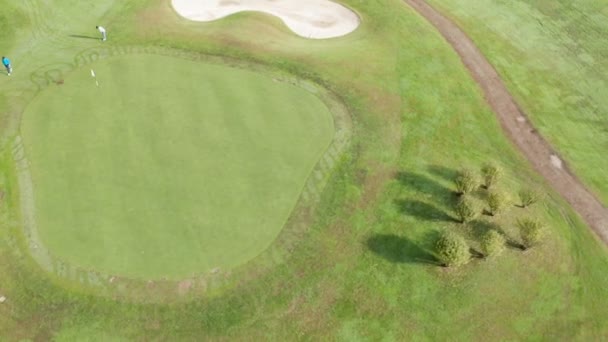 Golfbana Putting Green Ovanifrån — Stockvideo