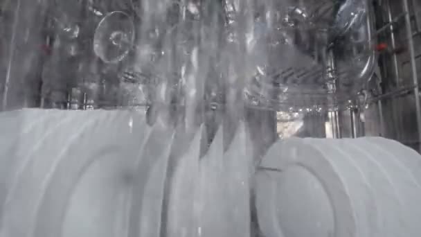 Πλυντήριο πιάτων Πλυντήρια γυαλιών — Αρχείο Βίντεο
