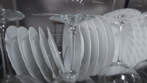 食器洗い機皿ガラス洗浄 — ストック動画
