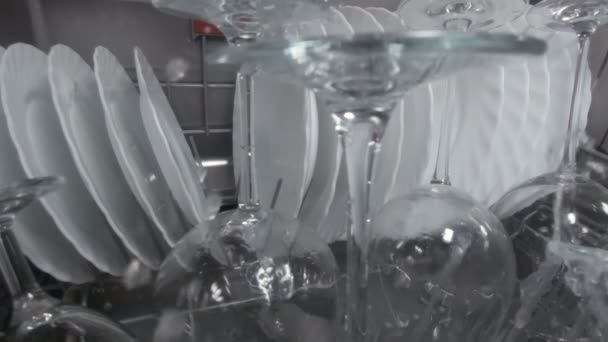 食器洗い機皿ガラス洗浄 — ストック動画