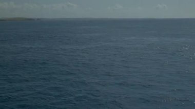 Bulutlu gökyüzünde uçan bir martı sürüsü