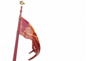 Venedik bayrak beyaz gökyüzü üzerinde