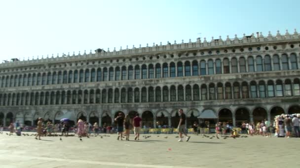 Piazza san marco — Stockvideo