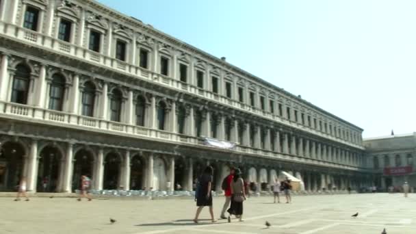 Piazza san marco — Stock video