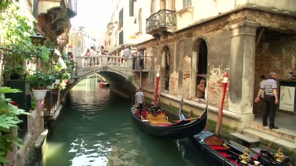 Venecia canal turístico — Vídeo de stock