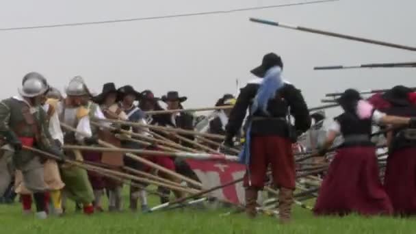 Infanterie Pikes Clash — Stockvideo