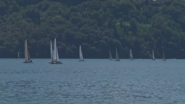 Catamaranes durante el desafío europeo de Fórmula 16 — Vídeos de Stock