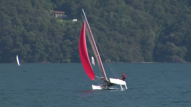 Catamaranes durante el desafío europeo de Fórmula 16 — Vídeo de stock