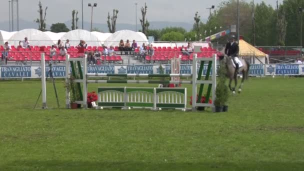 Um cavalo e cavaleiro em ação — Vídeo de Stock