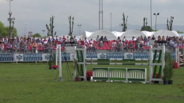 Een paard en ruiter in actie — Stockvideo