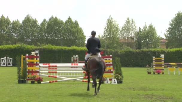 一匹马和骑手在行动 — 图库视频影像